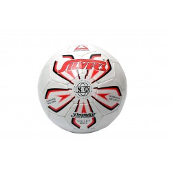 Silvers Popular Volleyball